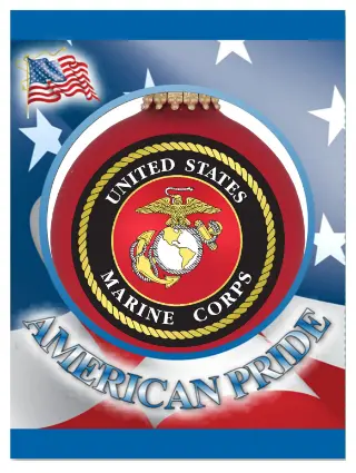 USMC 24 program art.